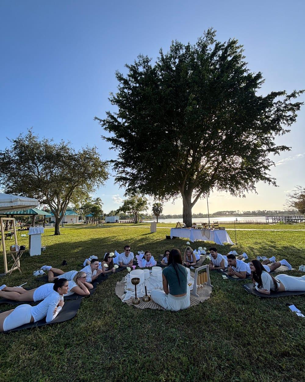 Guests sitting in a circle at a Bloomlight gathering in a park